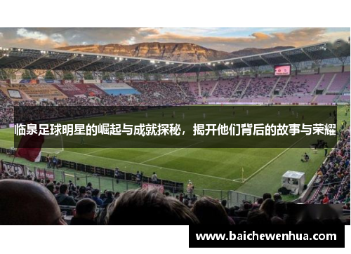 临泉足球明星的崛起与成就探秘，揭开他们背后的故事与荣耀